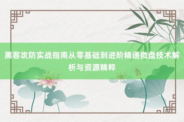 黑客攻防实战指南从零基础到进阶精通微盘技术解析与资源精粹